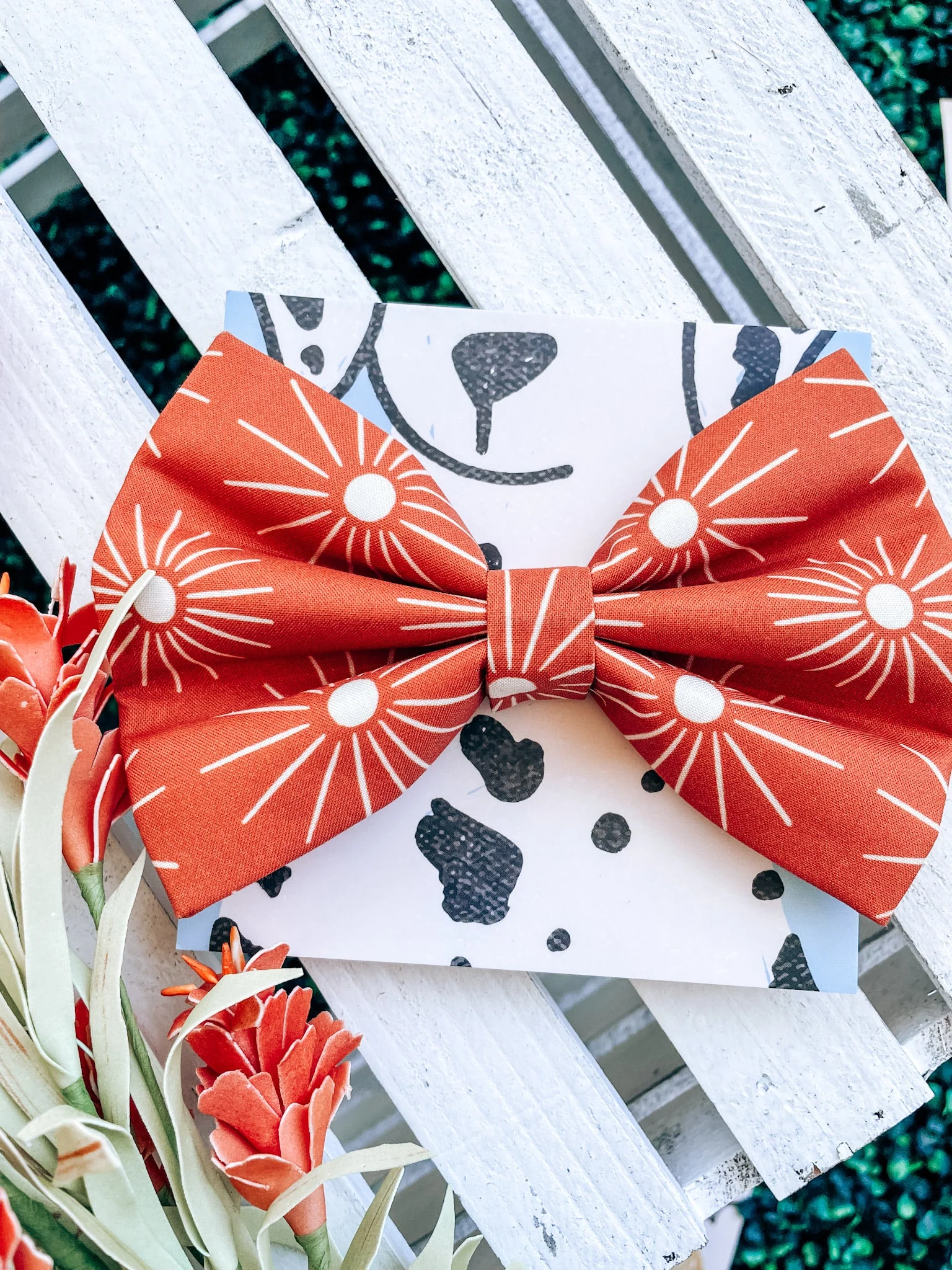 Acropora Bow Tie - Image 2