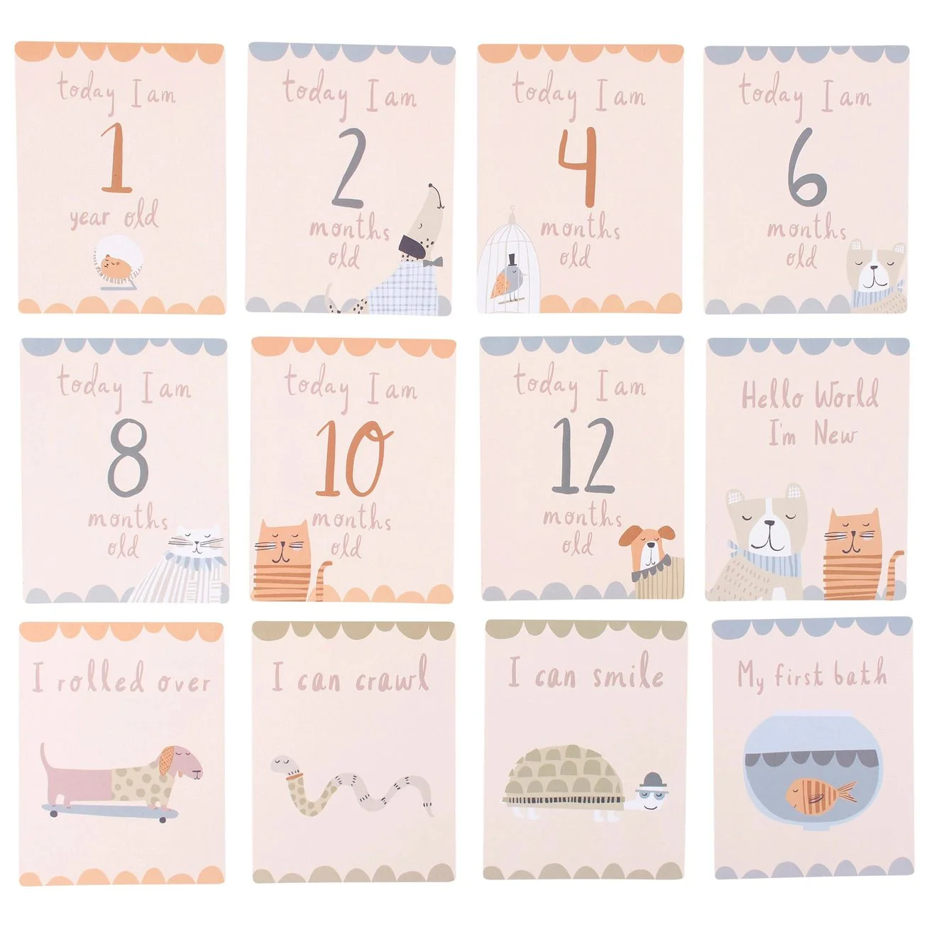 Animal Friends Milestone Cards - Image 2
