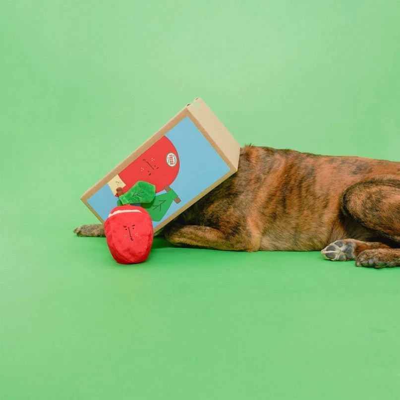 Apple Nosework Toy - Image 12