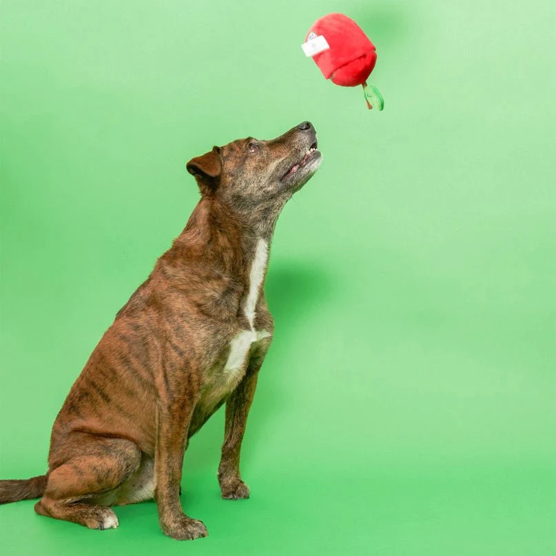 Apple Nosework Toy - Image 13