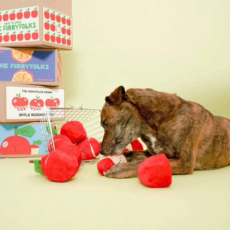 Apple Nosework Toy - Image 14