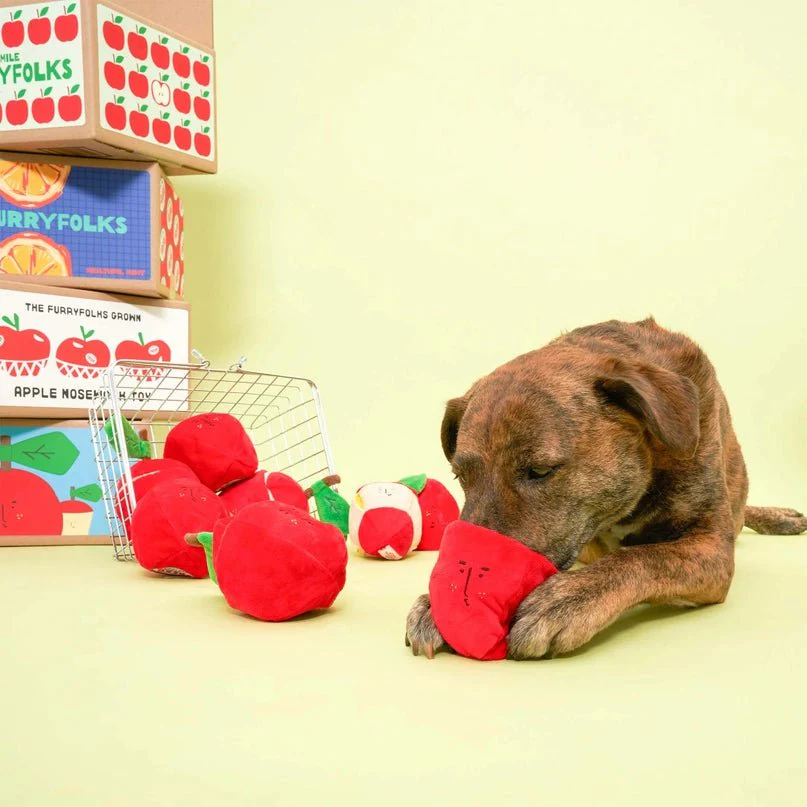 Apple Nosework Toy - Image 15