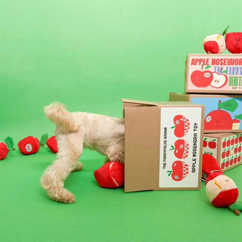 Apple Nosework Toy - Image 4
