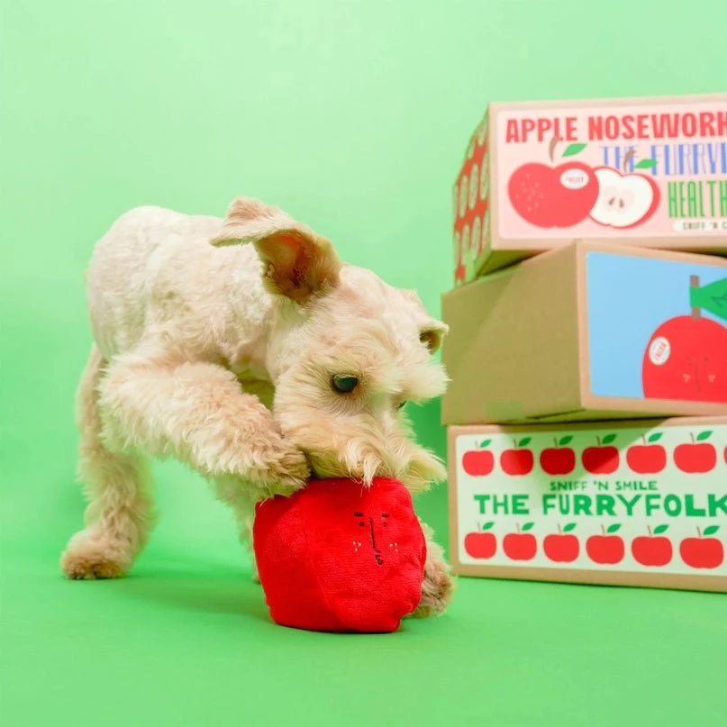 Apple Nosework Toy - Image 5