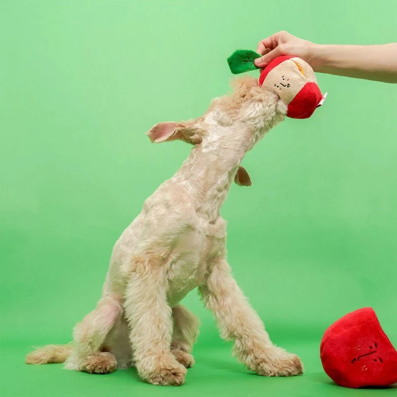 Apple Nosework Toy - Image 6