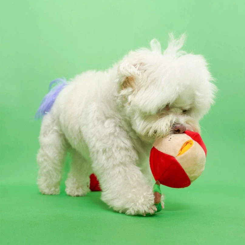 Apple Nosework Toy - Image 7