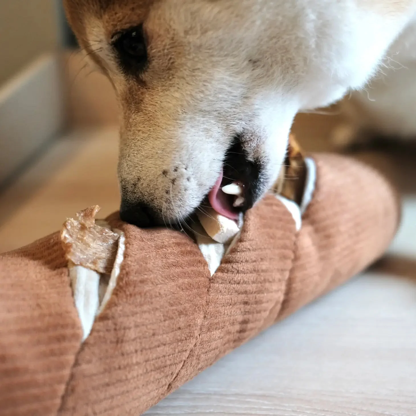 Baguette Dog Toy - Image 3