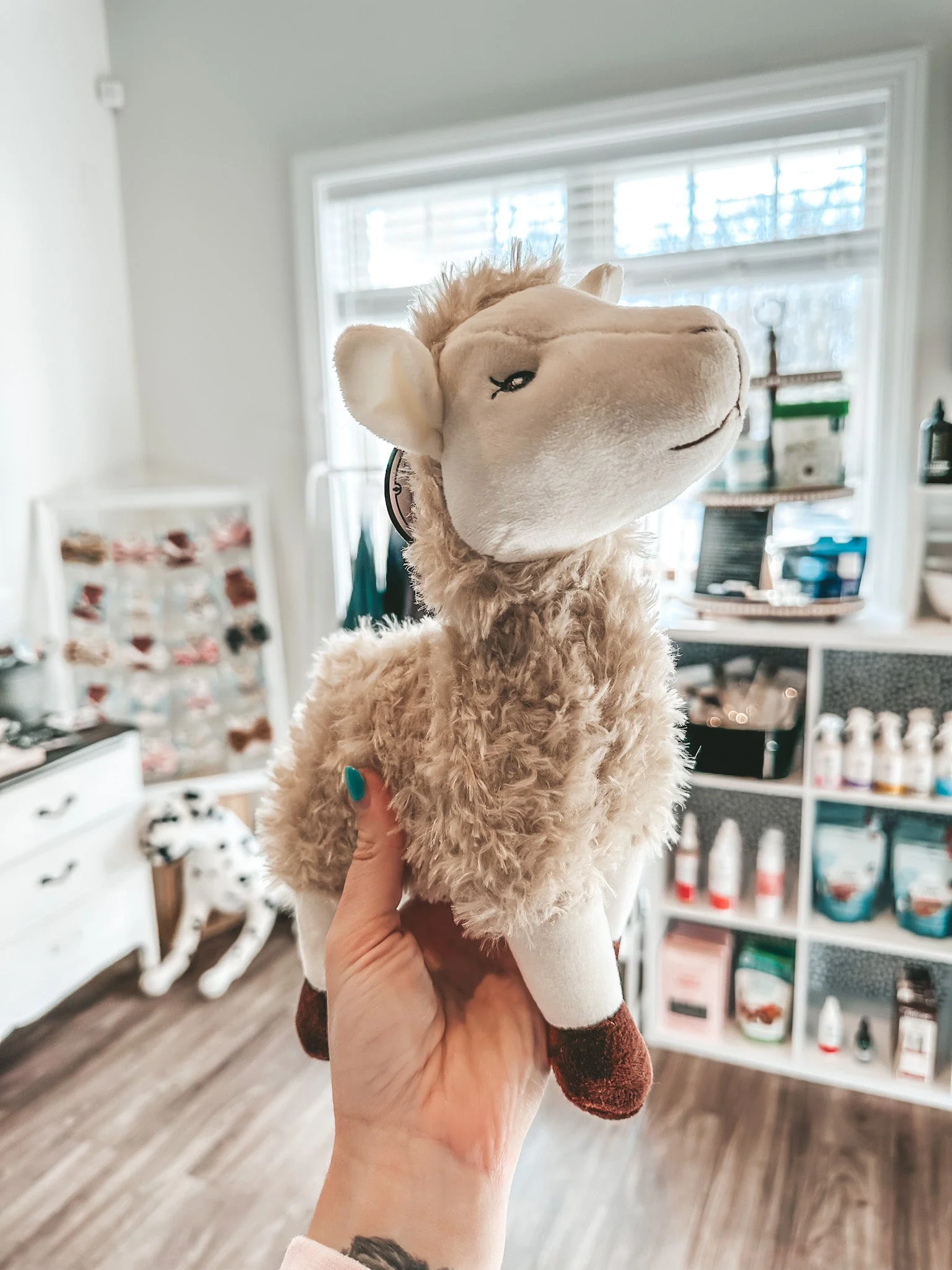 Barnyard Baller Llama