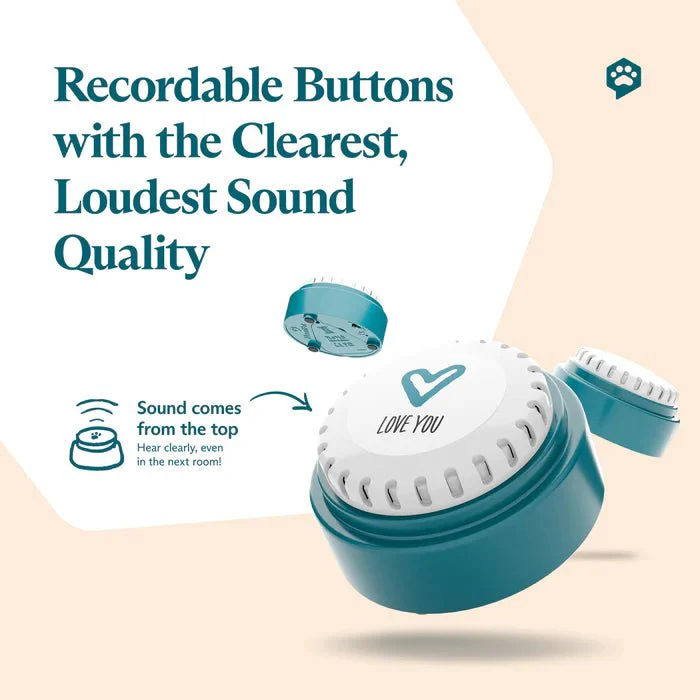 Basic Starter Kit - Talking Buttons - Image 4