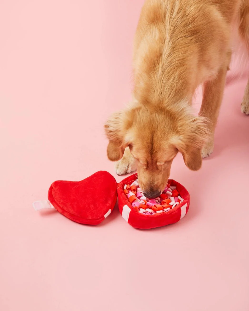 Be My Valentine Interactive Snuffle Dog Toy - Image 4