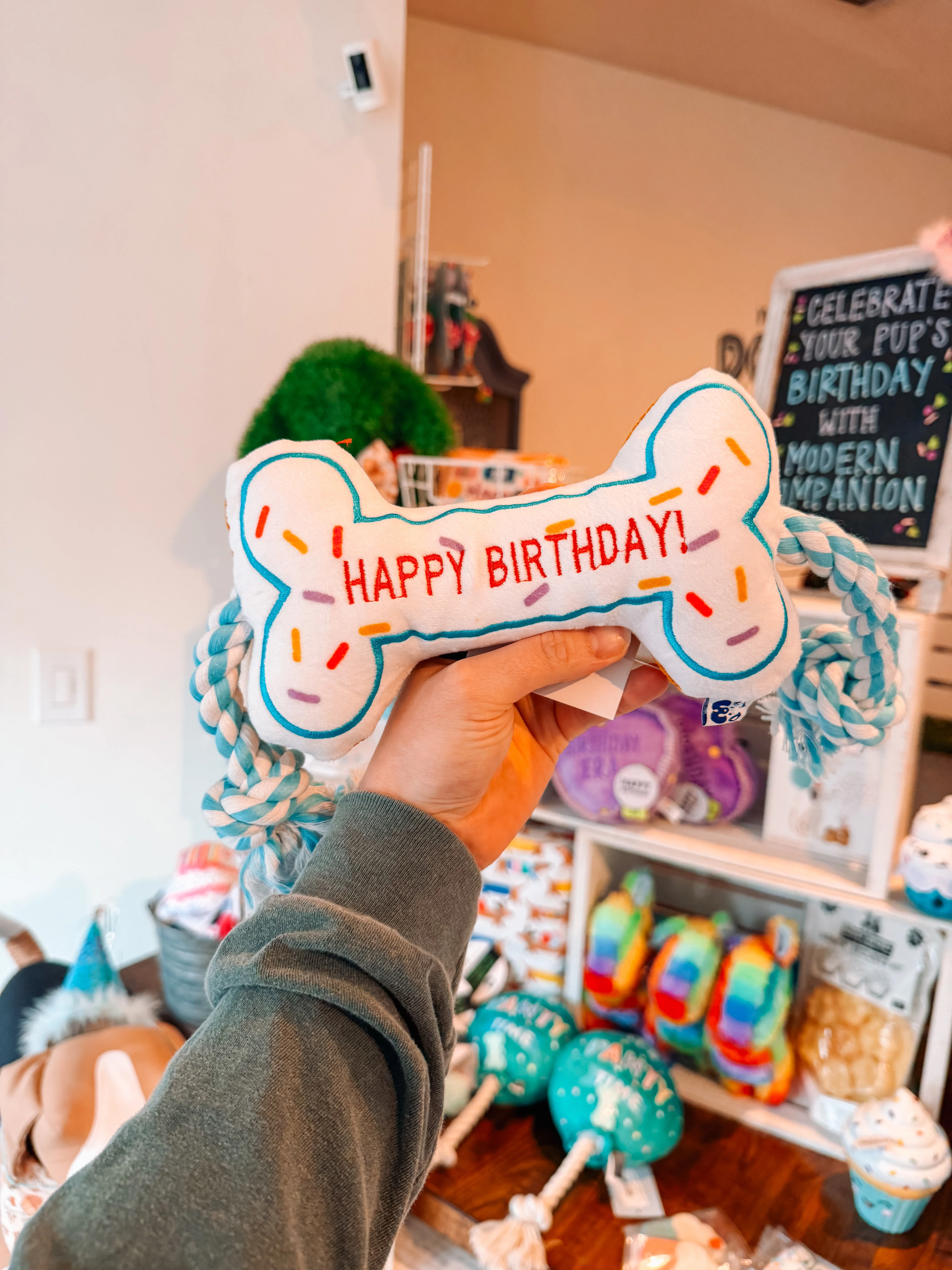 Birthday Bone Toy - Image 2