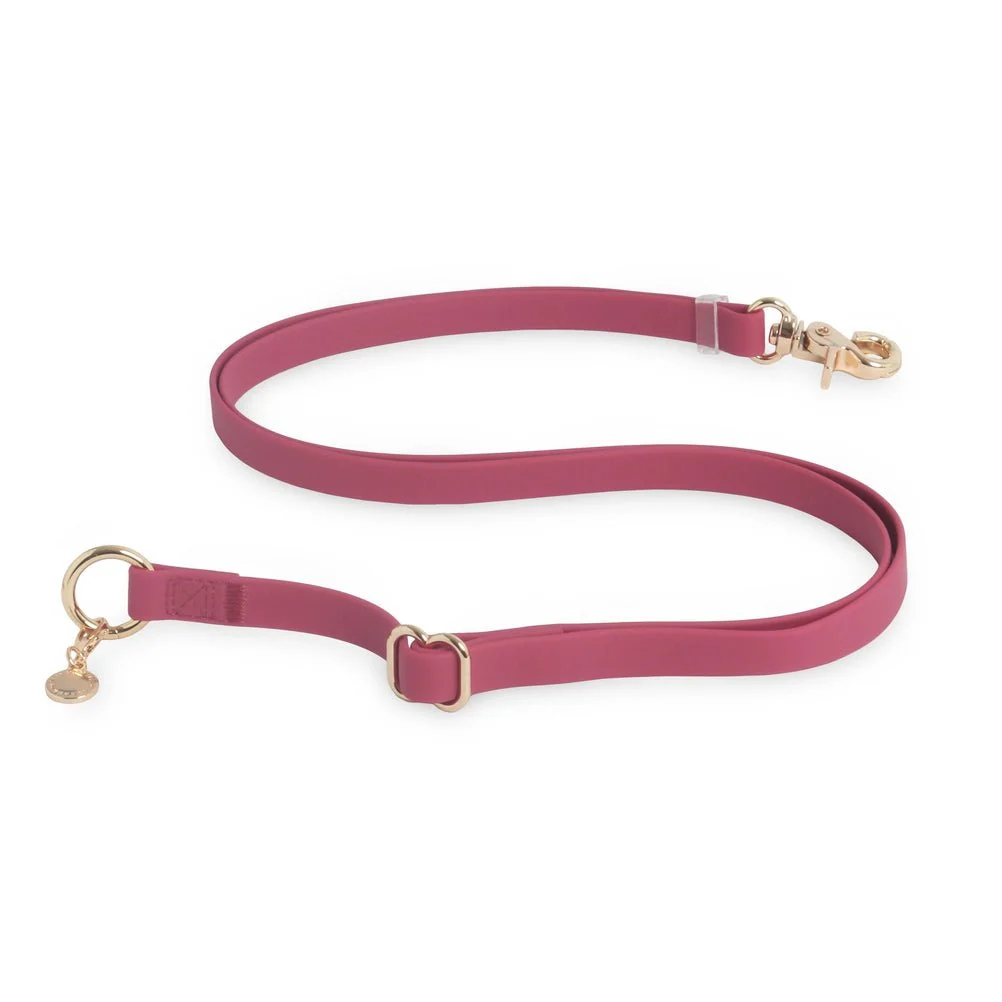Burgundy Hands Free Leash 4-Way Extension