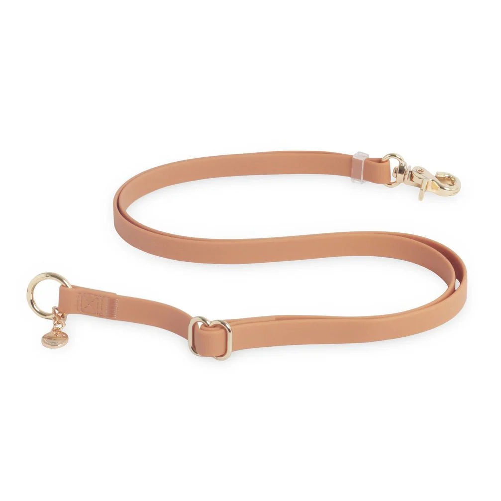 Chai Brown Hands Free Leash 4-Way Extension