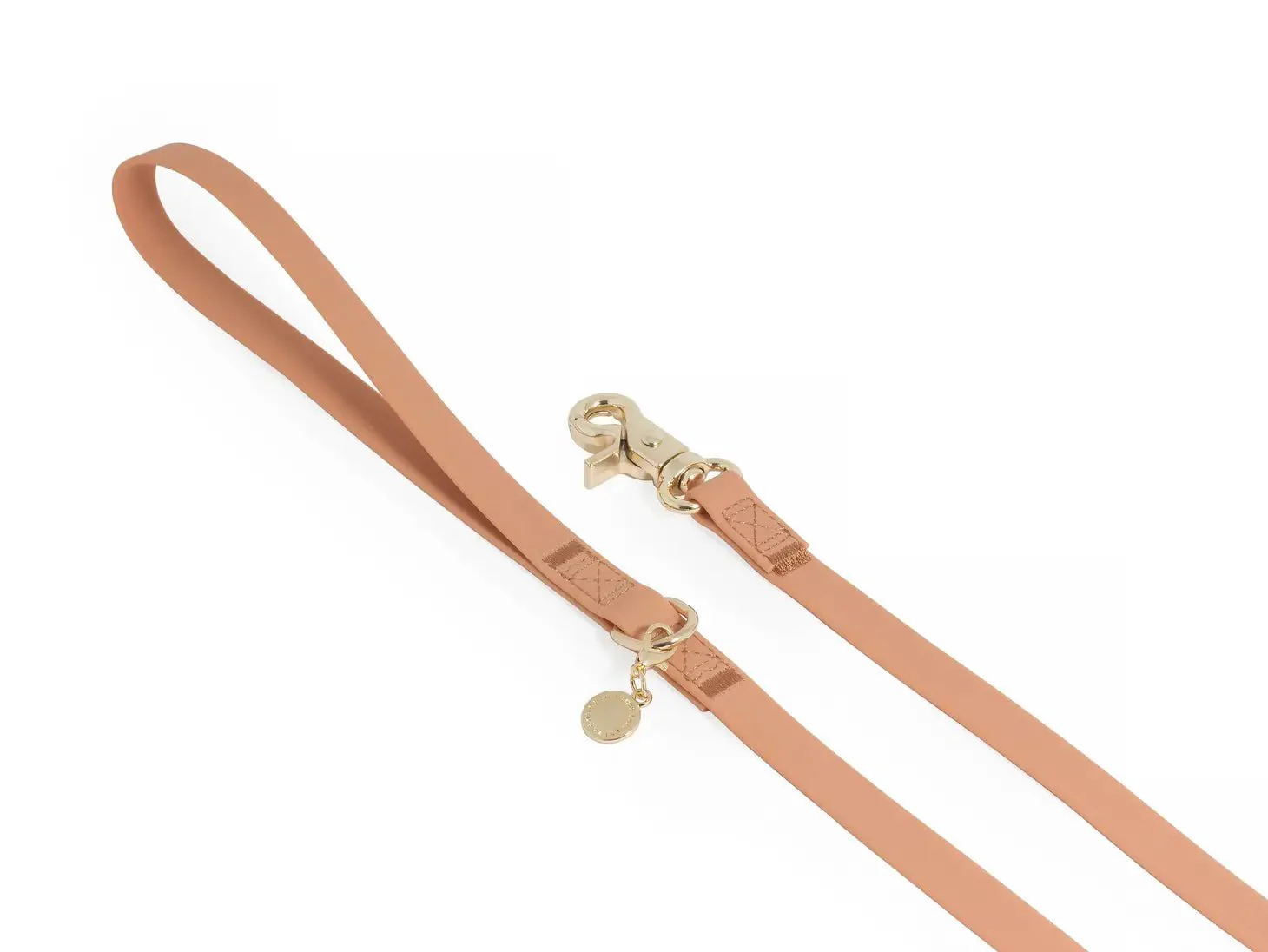 Chai Brown Waterproof Leash - Image 3