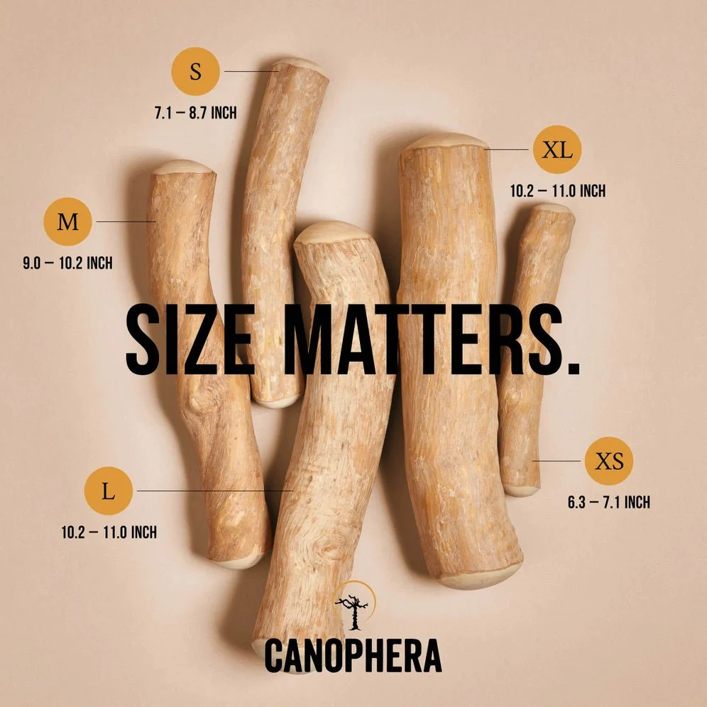 Coffee Wood Chew - Image 3
