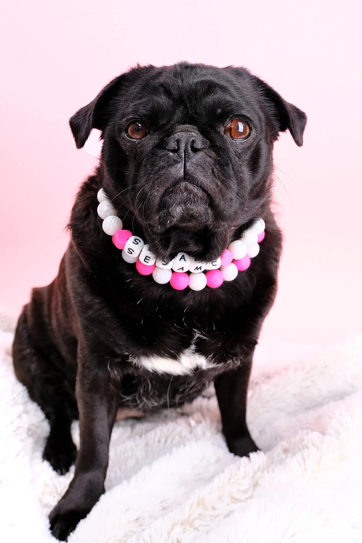 Customizable Friendship Bracelet Pet Collar - Image 2