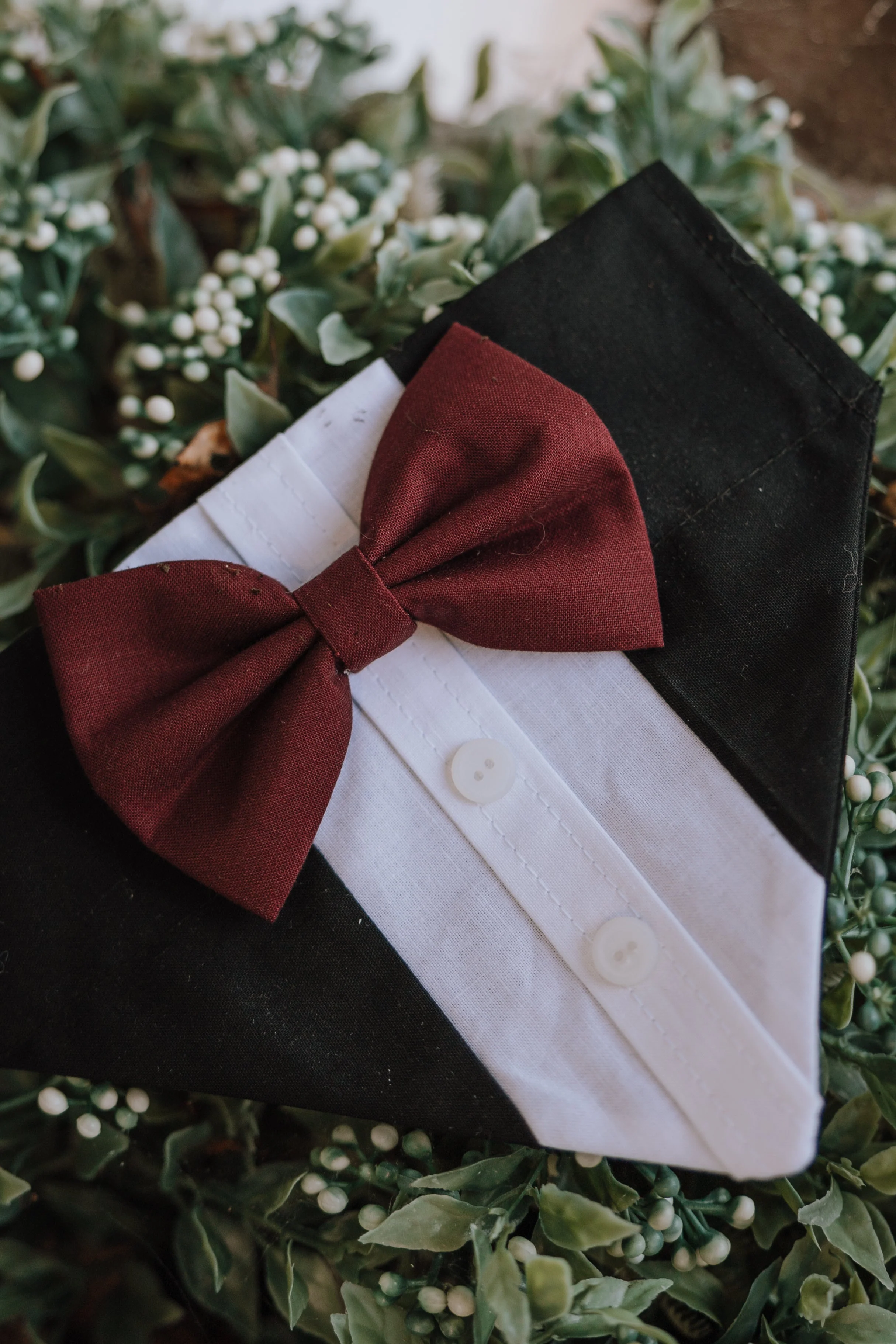 Customizable Tuxedo Pet Bandanas - Image 11