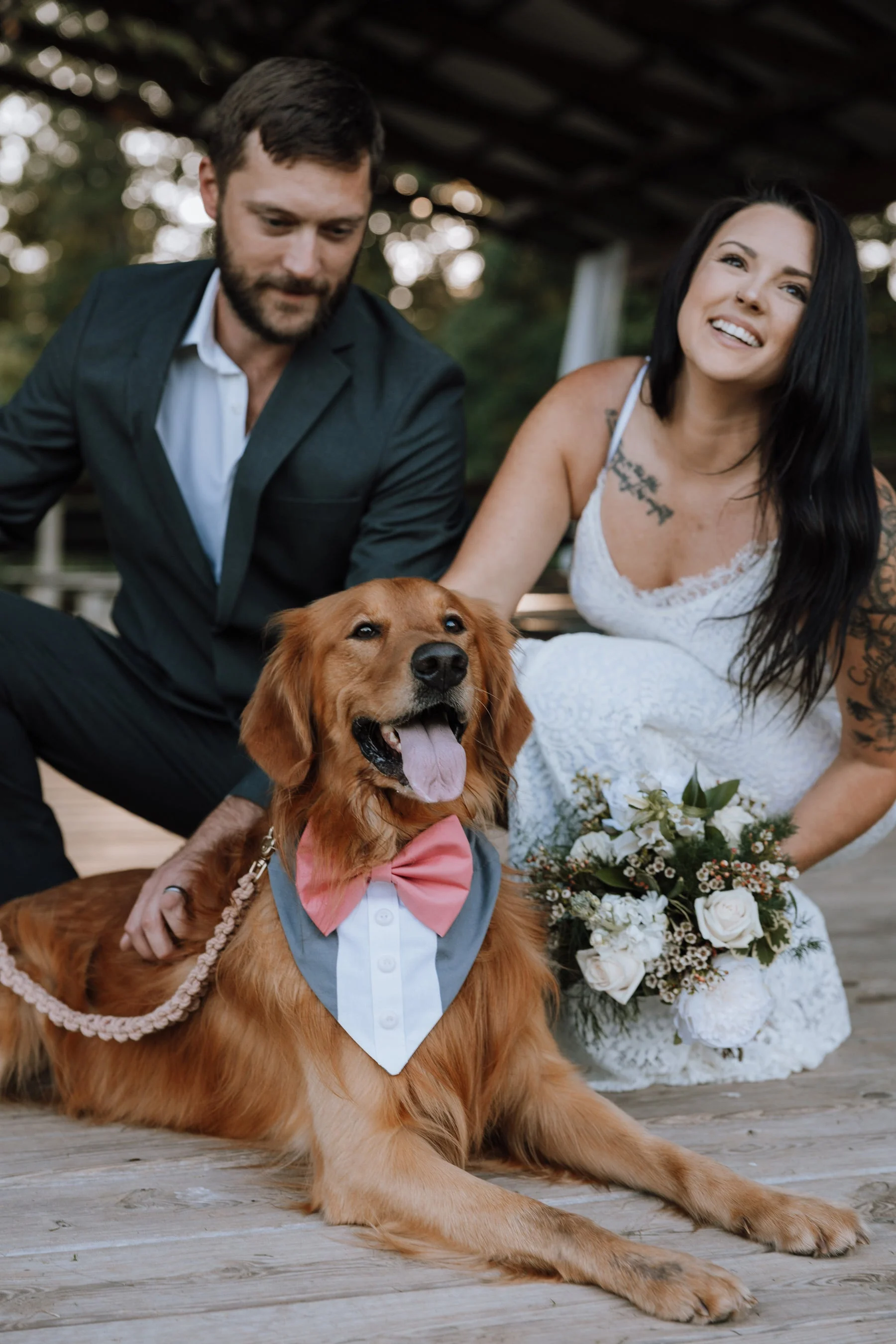 Customizable Tuxedo Pet Bandanas - Image 3