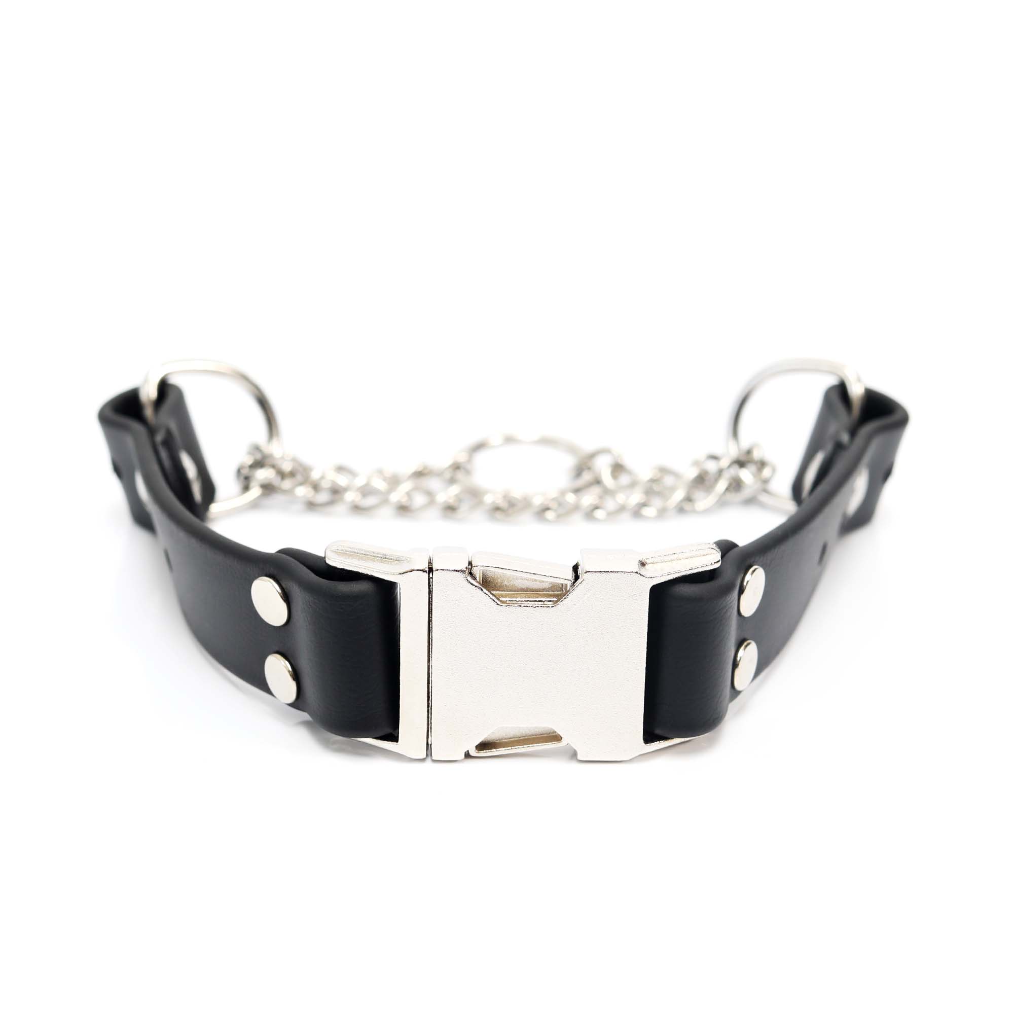 Customize Your Own Biothane Martingale Collar