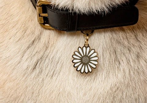 Daisy Pet ID Tag - Image 2