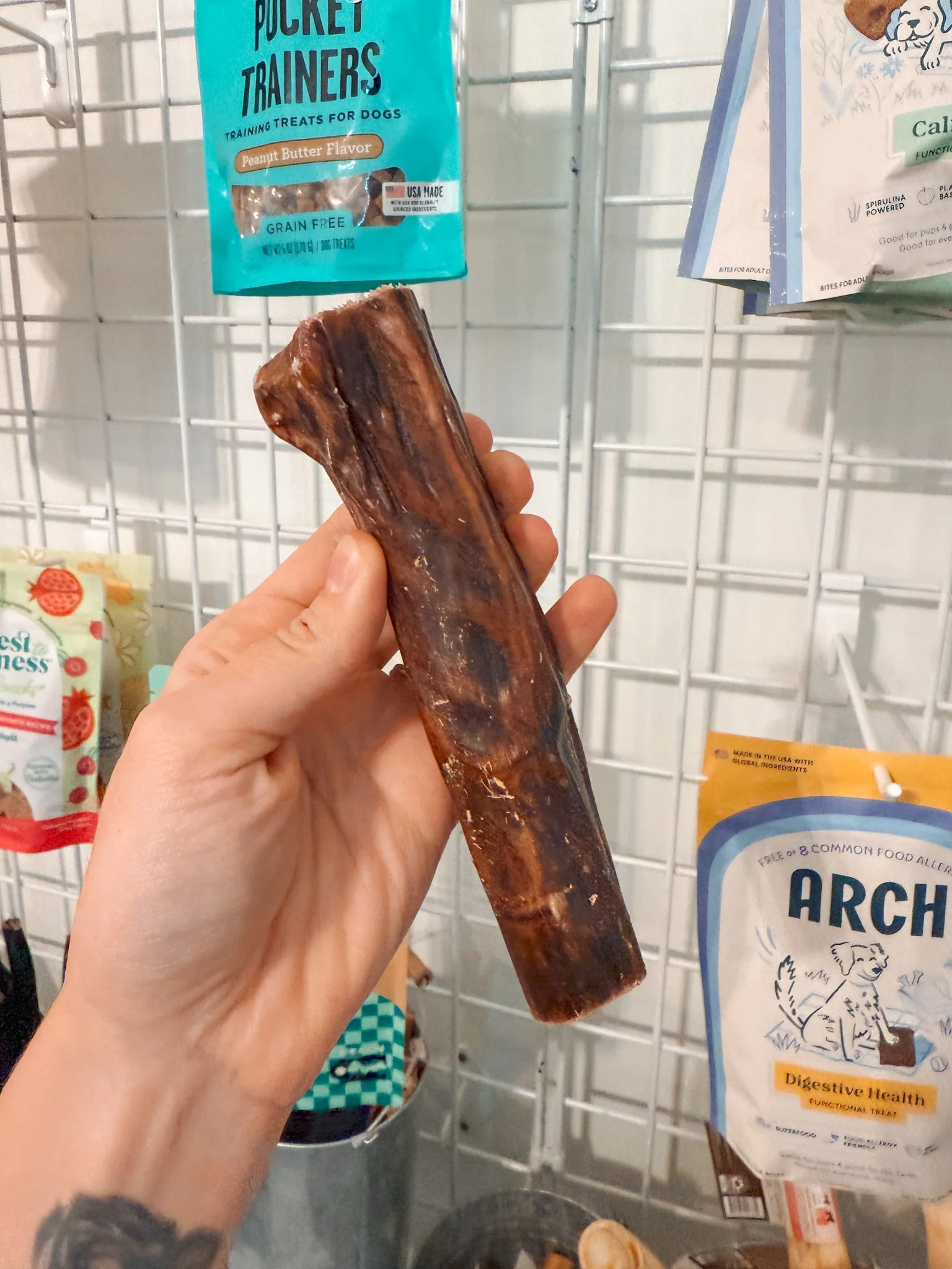 Esophagus Stuffed Chompers