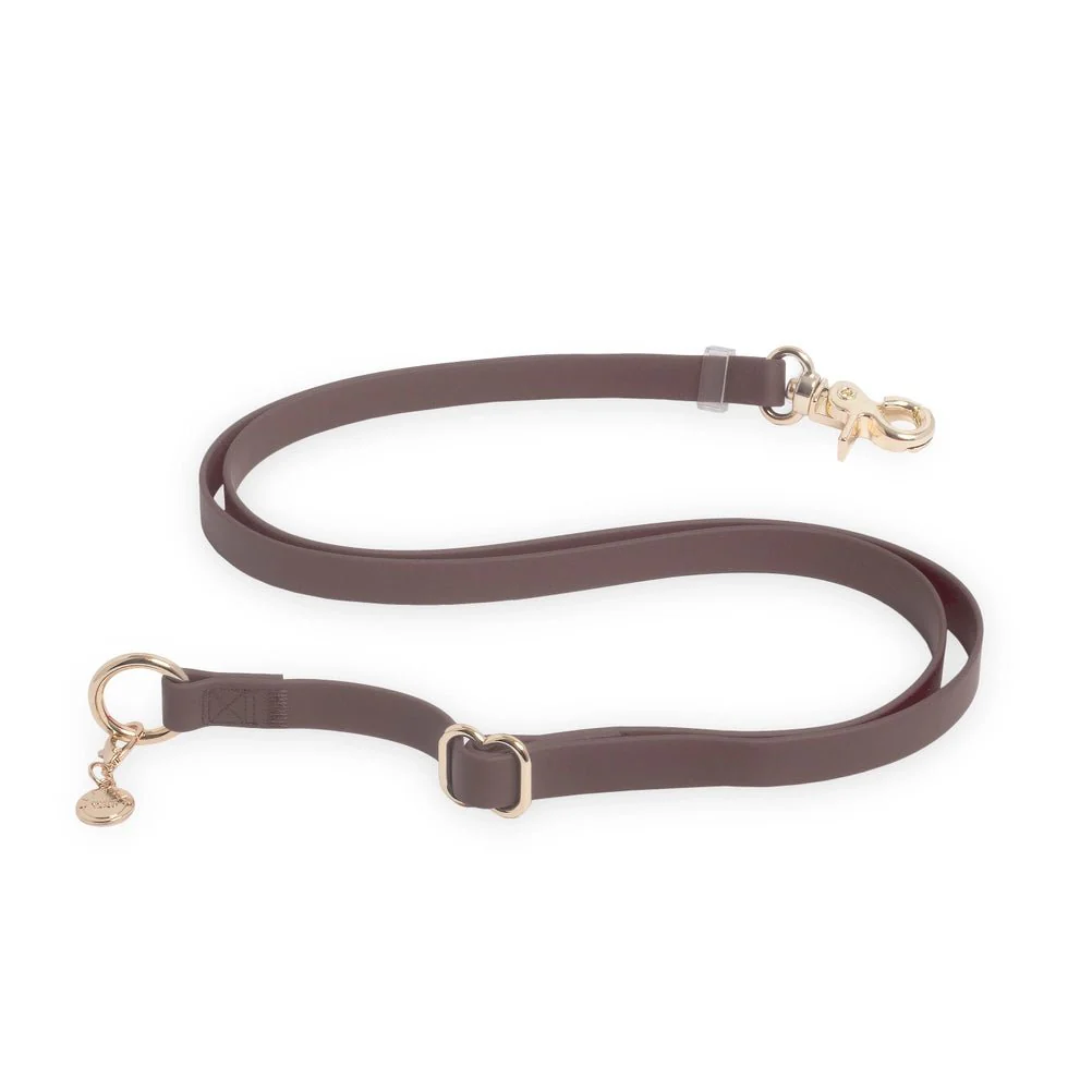 Espresso Brown Hands Free Leash 4-Way Extension