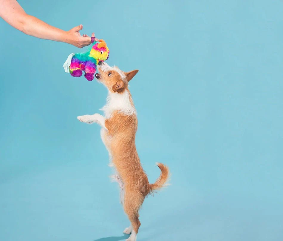 Full O' Fluff Pinata - Image 10