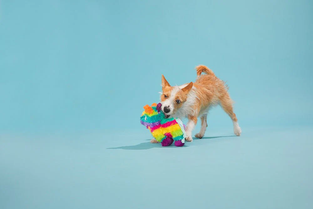 Full O' Fluff Pinata - Image 4