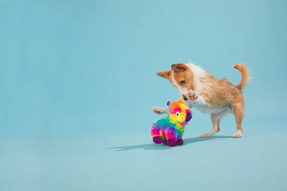 Full O' Fluff Pinata - Image 5