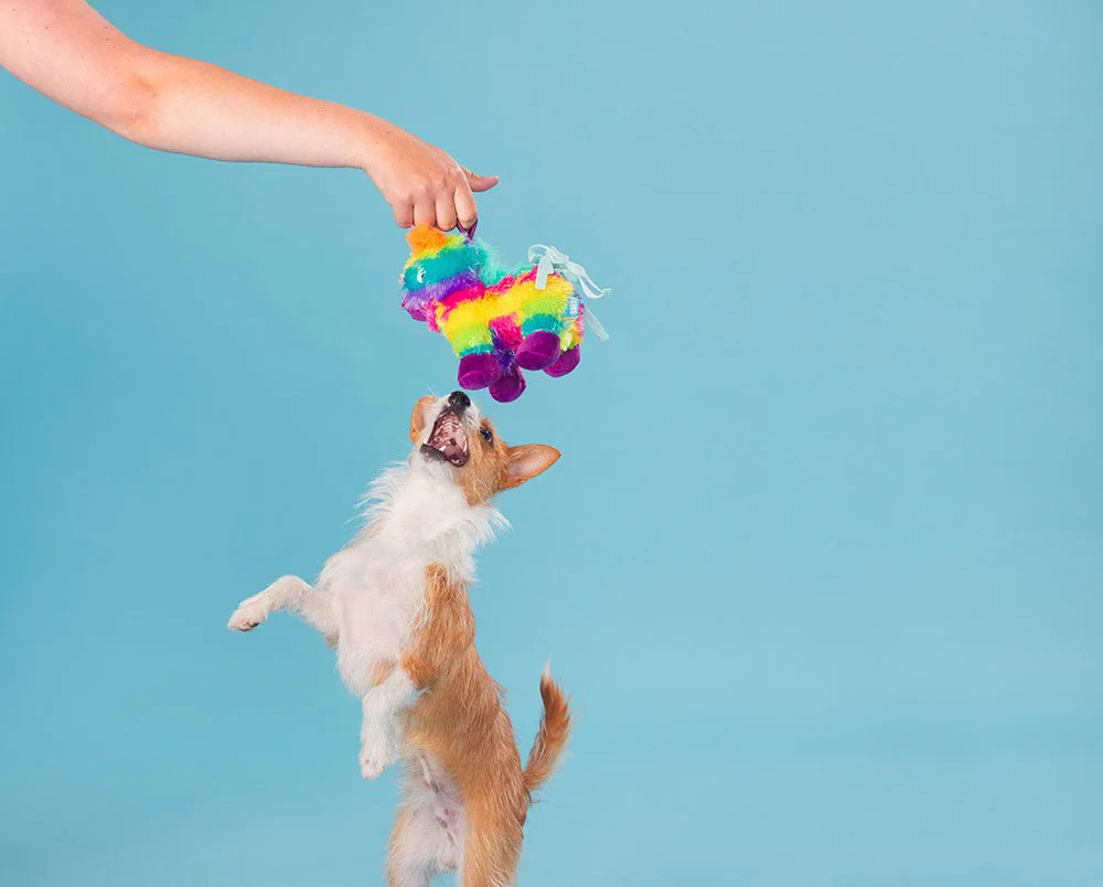 Full O' Fluff Pinata - Image 9