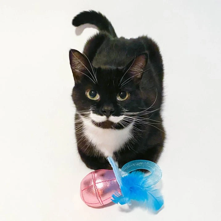 Gem Pawp Cat Toy - Image 2