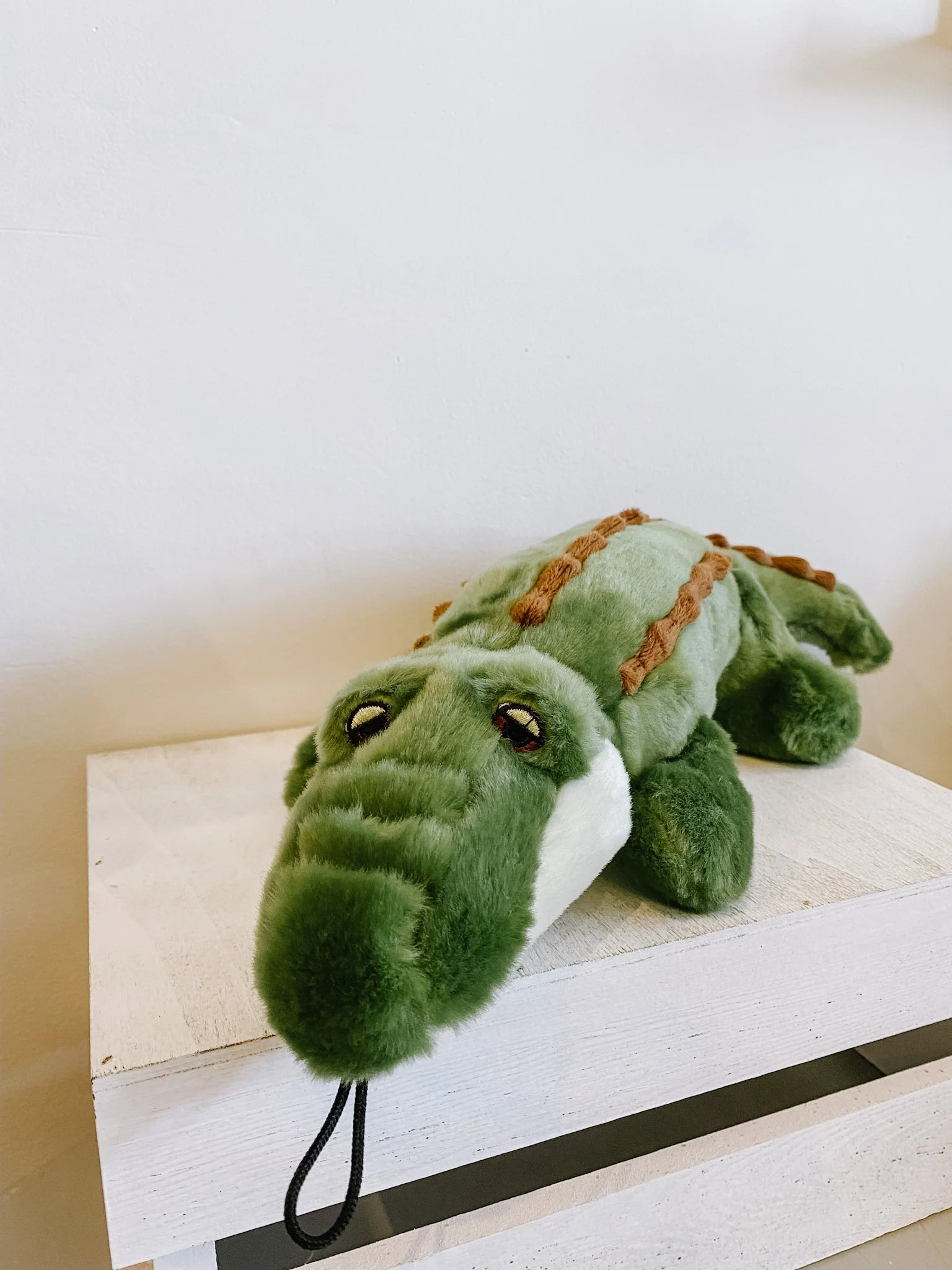 Georgia Gator - Image 2