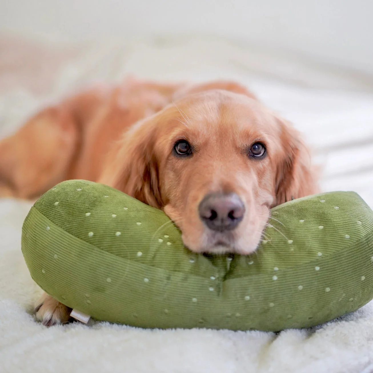 Giant Pickle Toy - Image 2