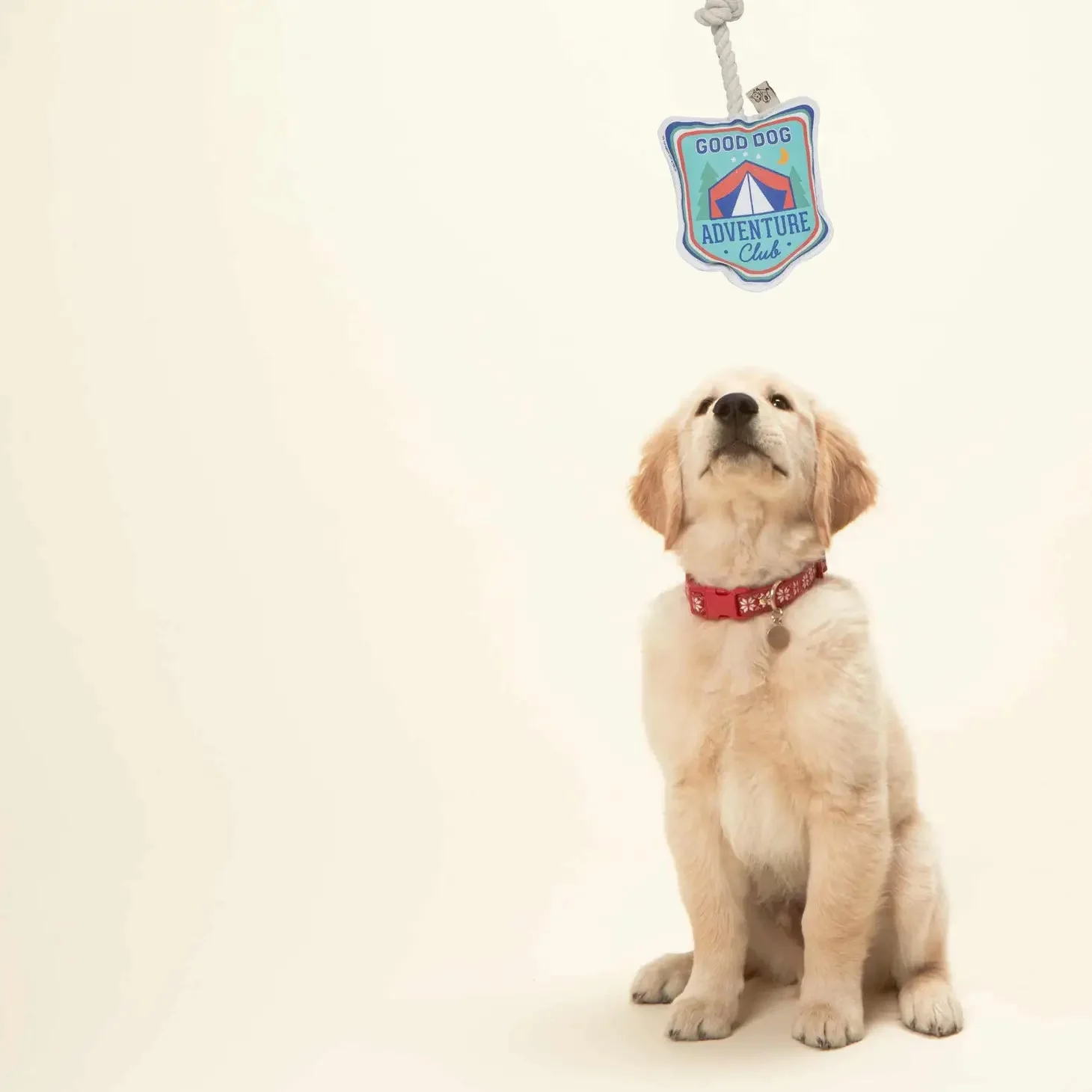 Good Dog Adventure Rope Toy - Image 3
