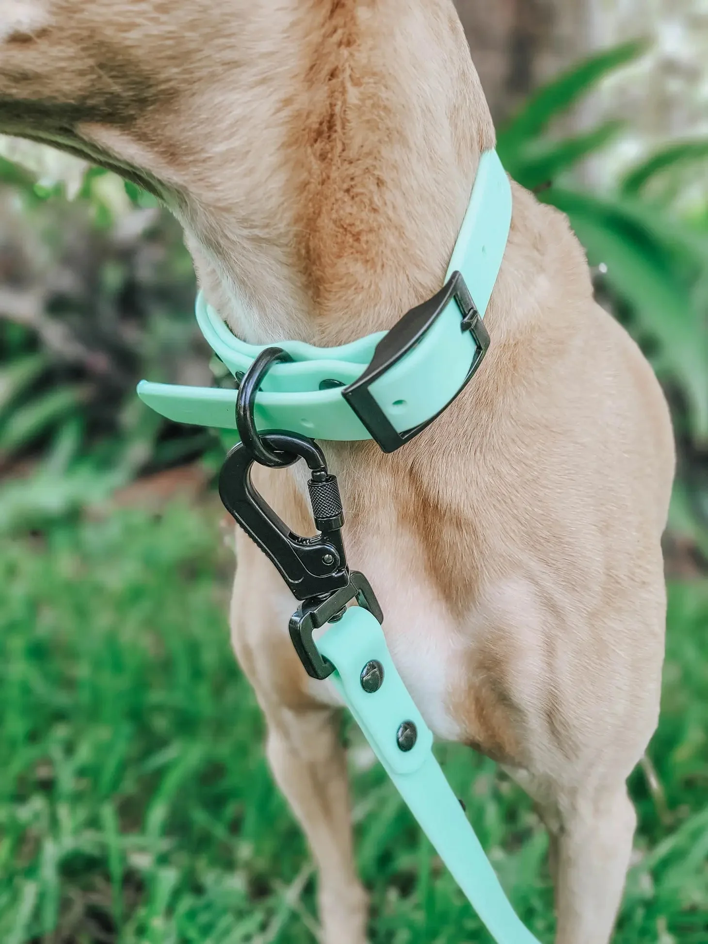 Green Buckle Waterproof Pet Collar - Image 4