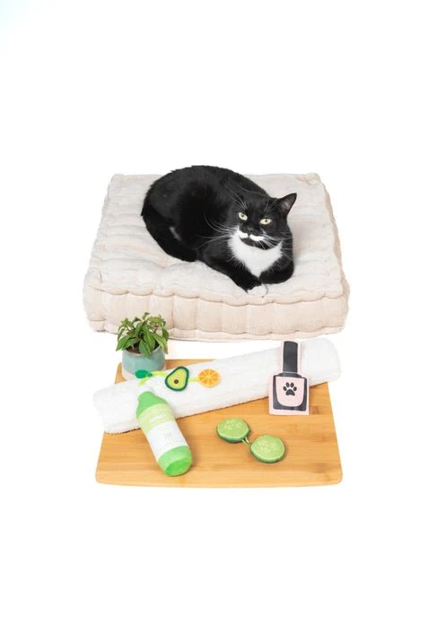 Green Juice Kicker Cat Toy - Image 3