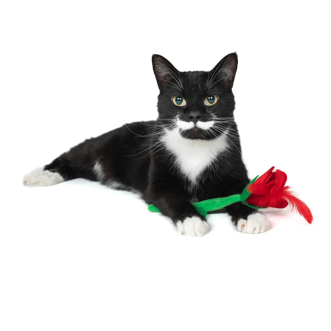 I Pick Mew Rose Catnip Toy - Image 3