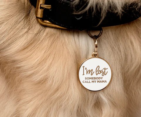 I'm Lost, Somebody Call My Mama - White Pet ID Tag - Image 2