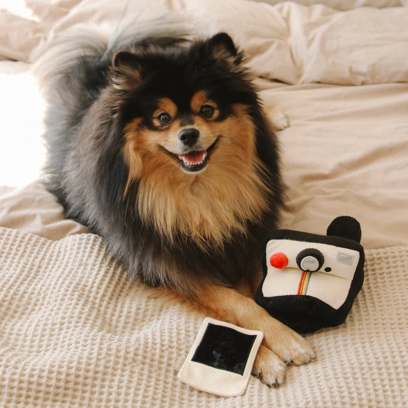 Instant Camera Enrichment Toy - Image 3