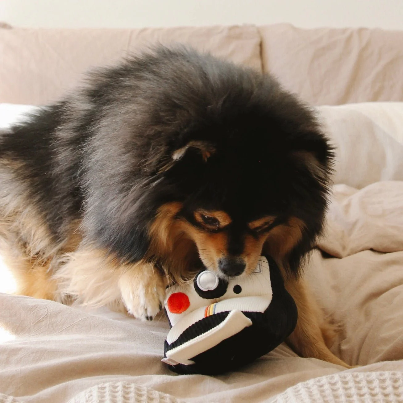 Instant Camera Enrichment Toy - Image 4