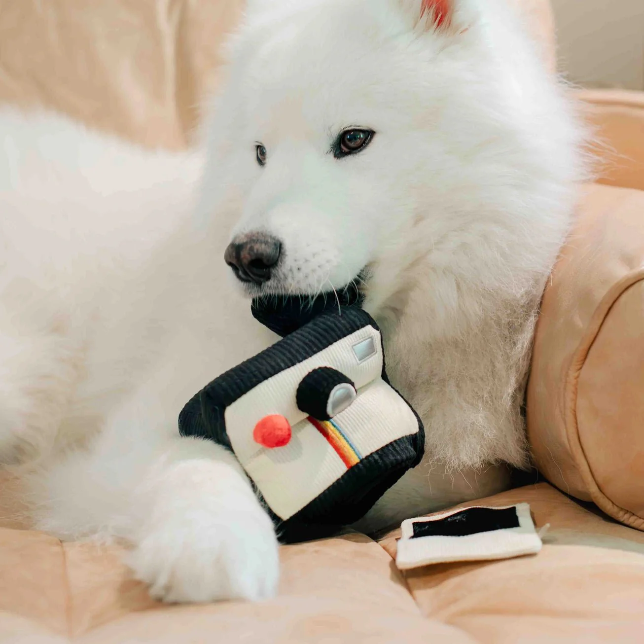 Instant Camera Enrichment Toy - Image 5