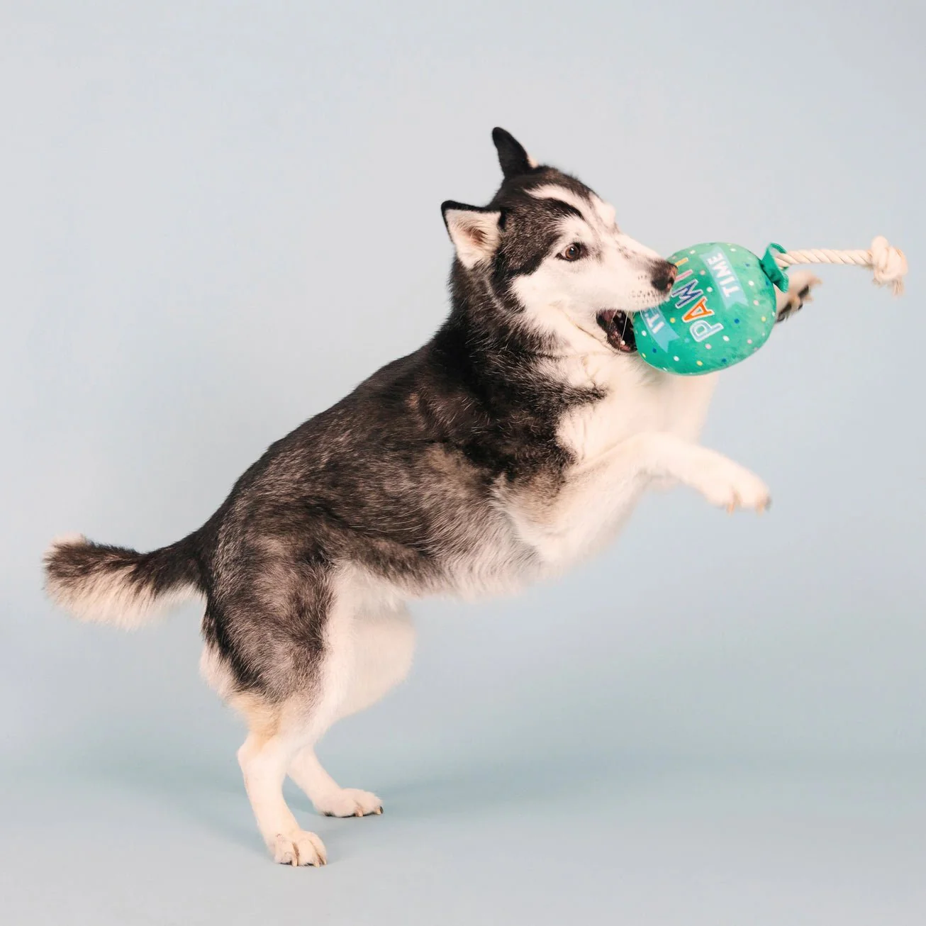 It's Pawty Time Balloon Toy - Image 4