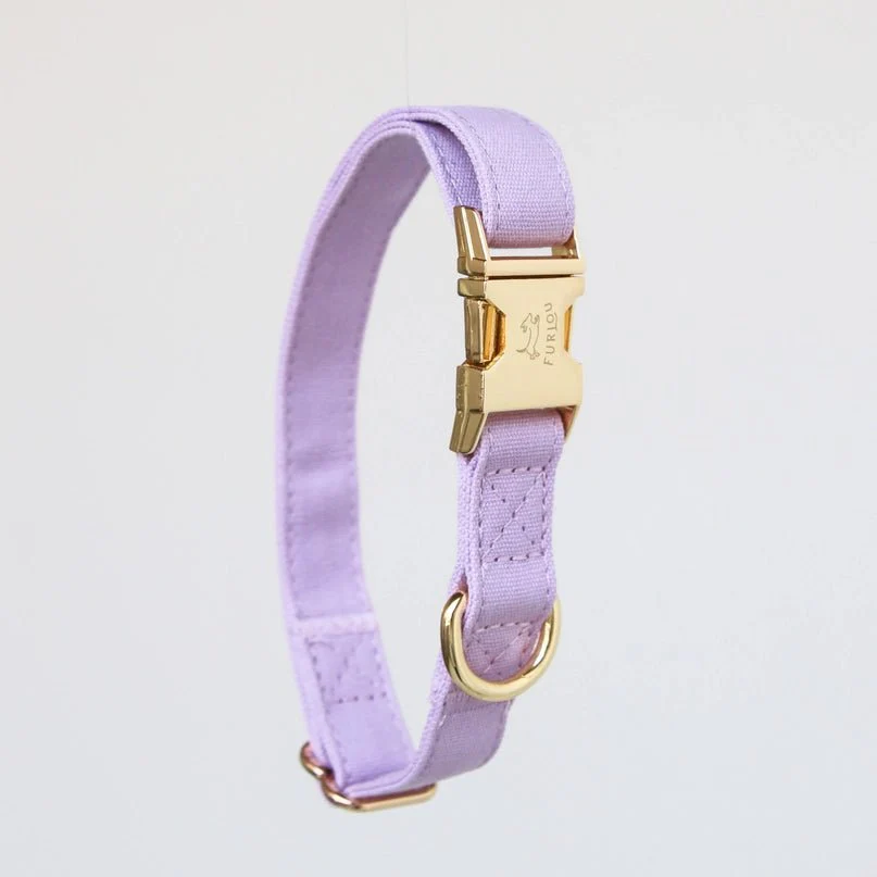 Lavender Collar