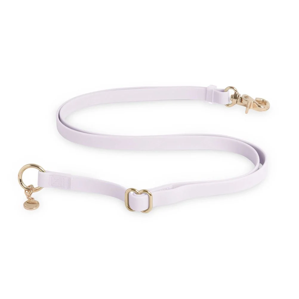Lavender Hands Free Leash 4-Way Extension