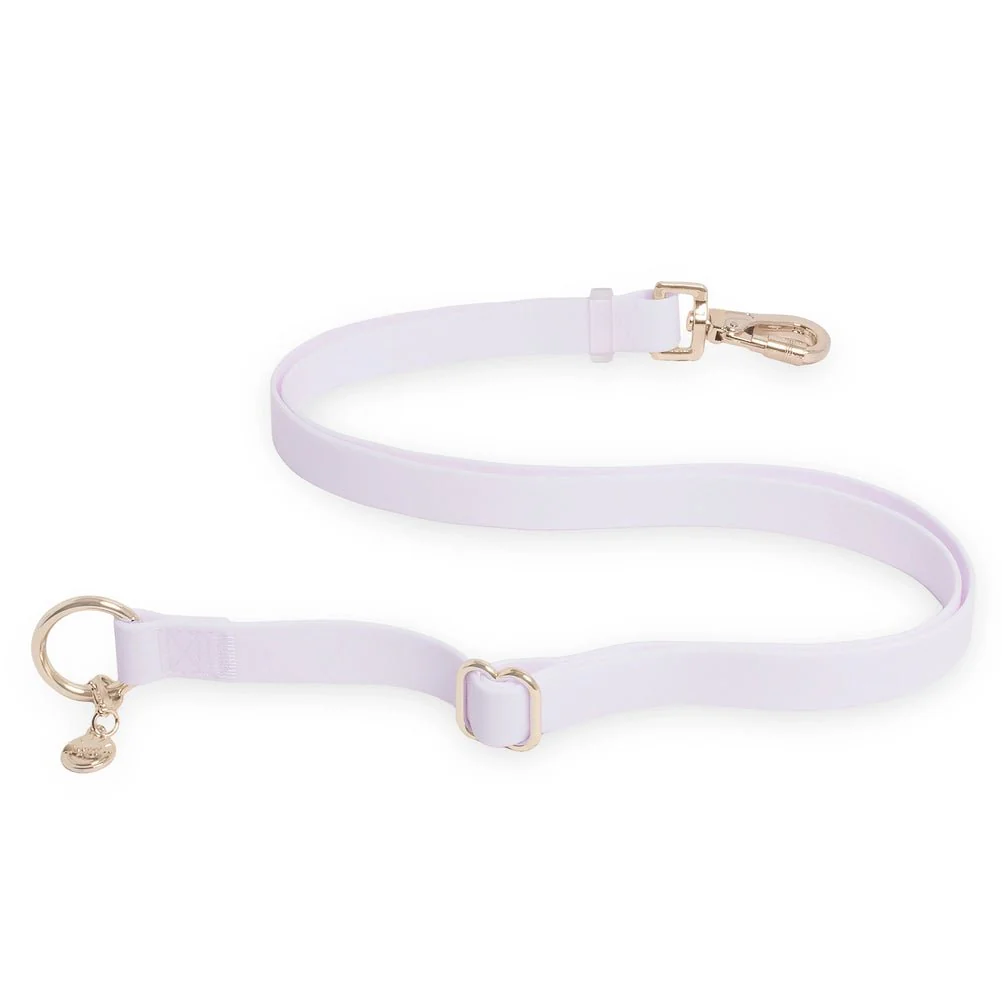 Lavender Hands Free Leash 4-Way Extension - Image 2