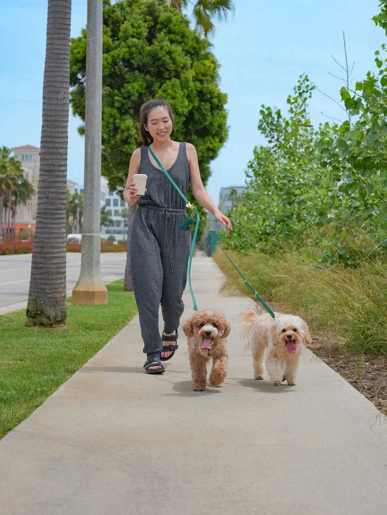 Lavender Hands Free Leash 4-Way Extension - Image 3