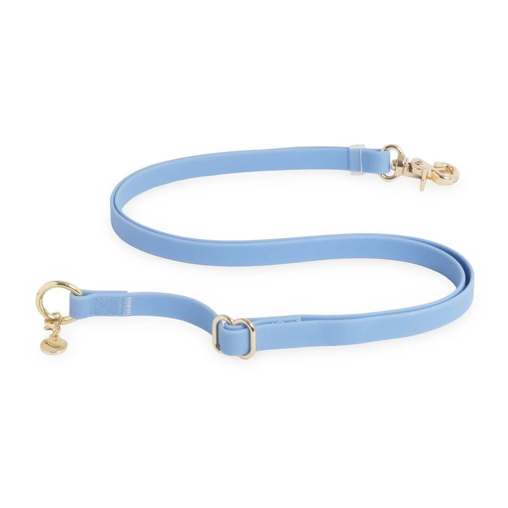 Malibu Blue Hands Free Leash 4-Way Extension