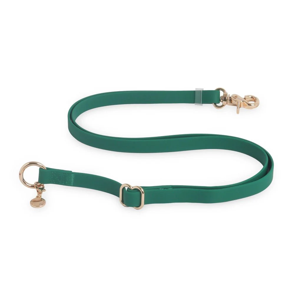 Meadow Green Hands Free Leash 4-Way Extension