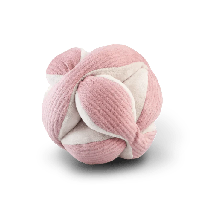 Monti Dog Toy - Image 6