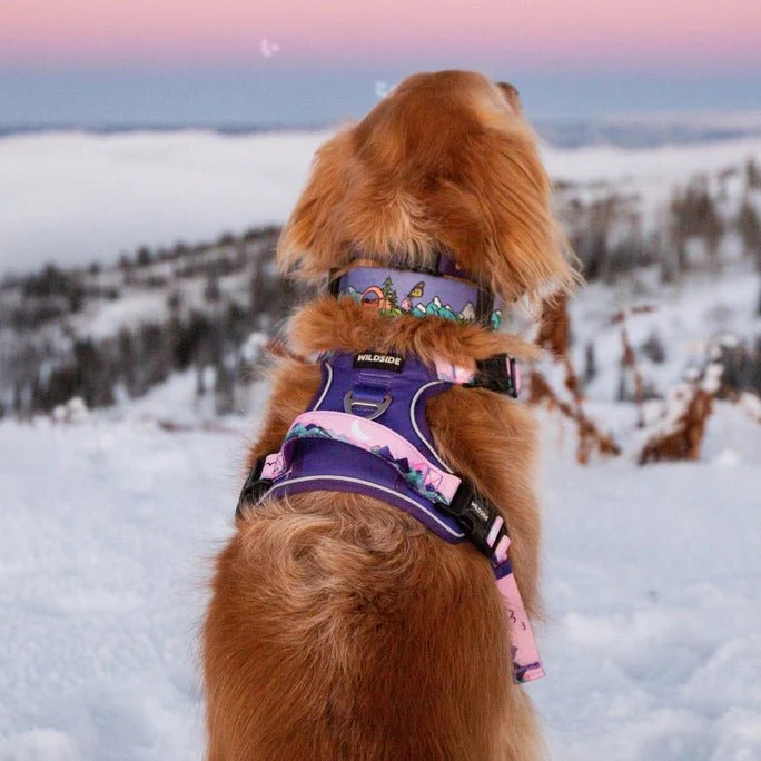Mt. Milly Harness - Image 5